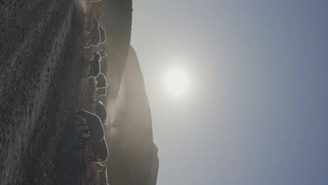 A-flock-of-sheep-moving-across-a-hillside-in-the-mountains-of-Patagonia,-Argentina