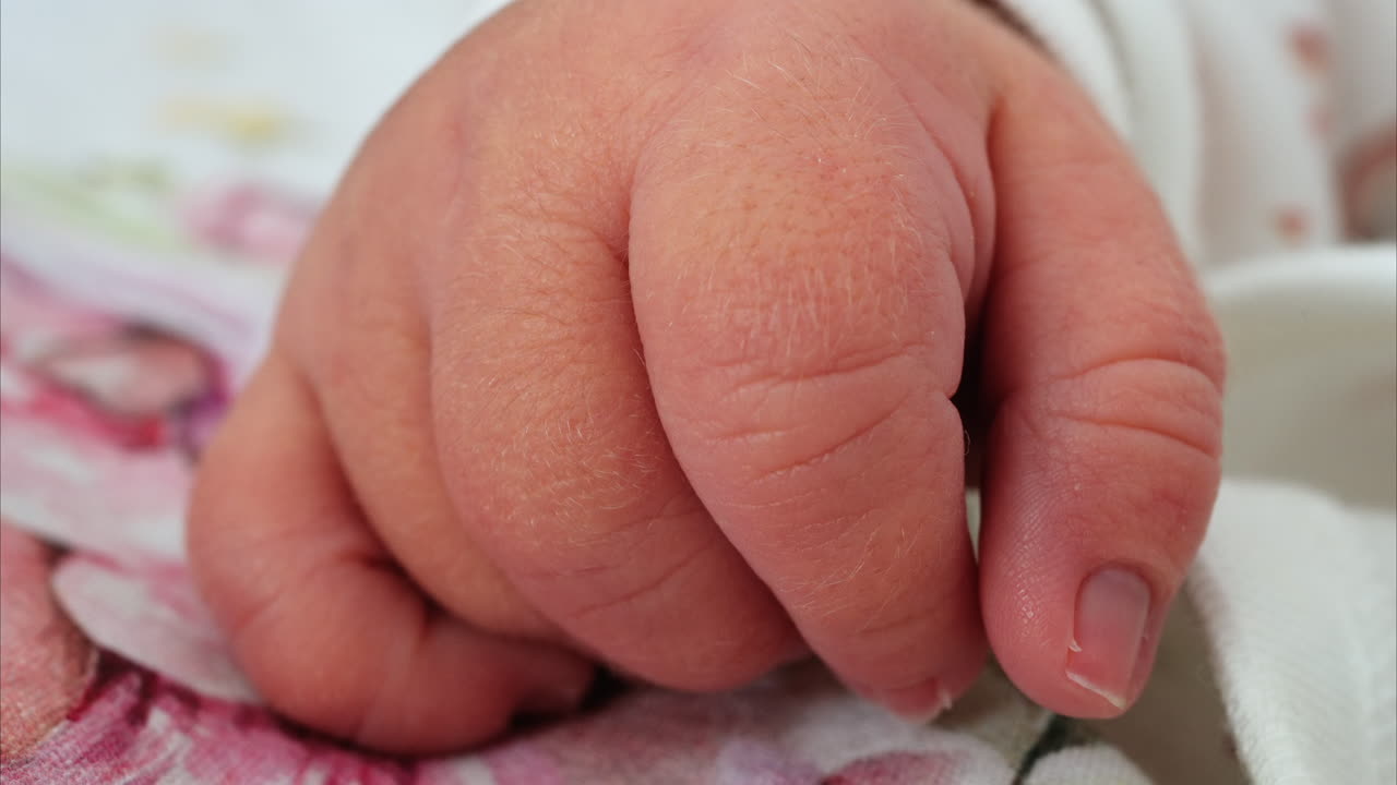 Close up of a newborn baby's tiny hand clenched in soft natural light while resting