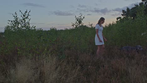 wide view of attractive young woman stepping into heather field wit american staffordshire terrier dog