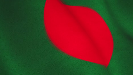 방글라데시 발을 흔드는 배경은 애국적 자부심을 의미합니다. - 비디오 애니메이션 루프