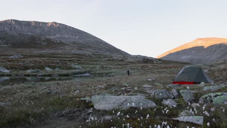 solo male backpacker hiking in autumnal scandinavian tundra landscape in front of tent