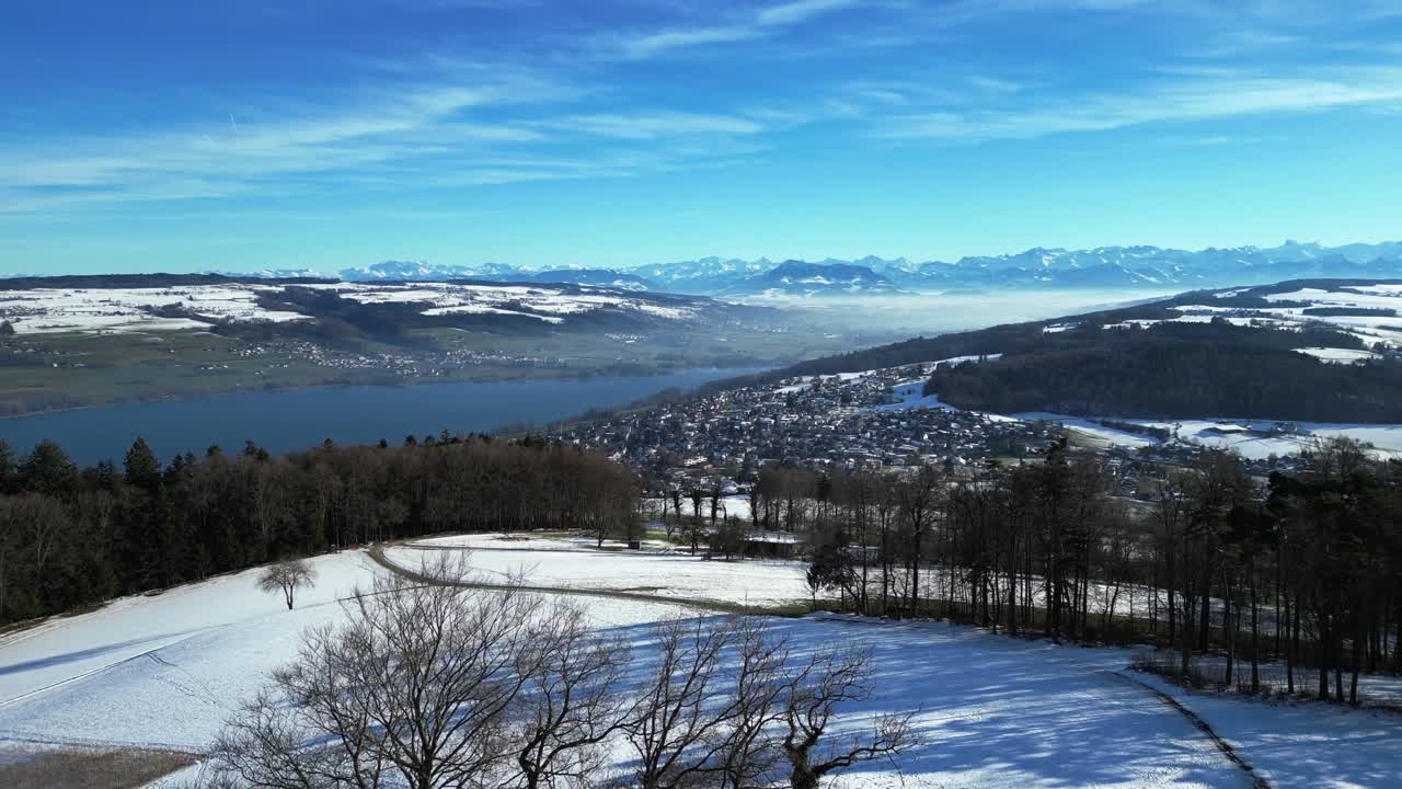 나무 위를 날아다니며 스위스 중부의 호수 에 있는 마을을 드러내고, 그 배경에는 알프스 산맥이 있습니다.