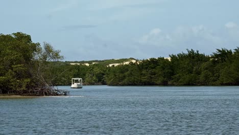 fotografía de un pequeño barco turístico atracado entre manglares tropicales en la laguna de guaraíras con dunas de arena detrás en tibau do sul en río grande do norte, brasil en un cálido día de verano