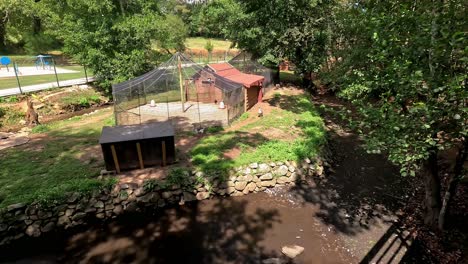 shelter-of-ducks-and-various-birds-in-the-middle-of-the-public-park-on-the-island-of-the-river-during-the-summer-drought,-shot-from-above,-Ordes,-Galicia,-Spain