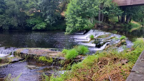 stunning river footage in woods with different levels in galicia spain