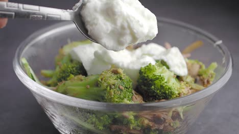 yogurt and broccoli salad