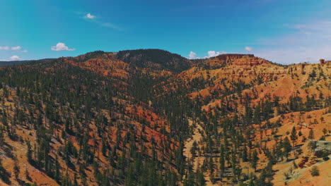 Flight over the orange mountains covered with sparse pine forest. Beautiful canyons of Utah, USA at backdrop of blue sky.