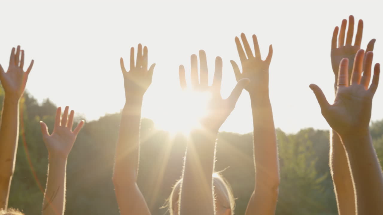 People Raising Hands in Sunlight
