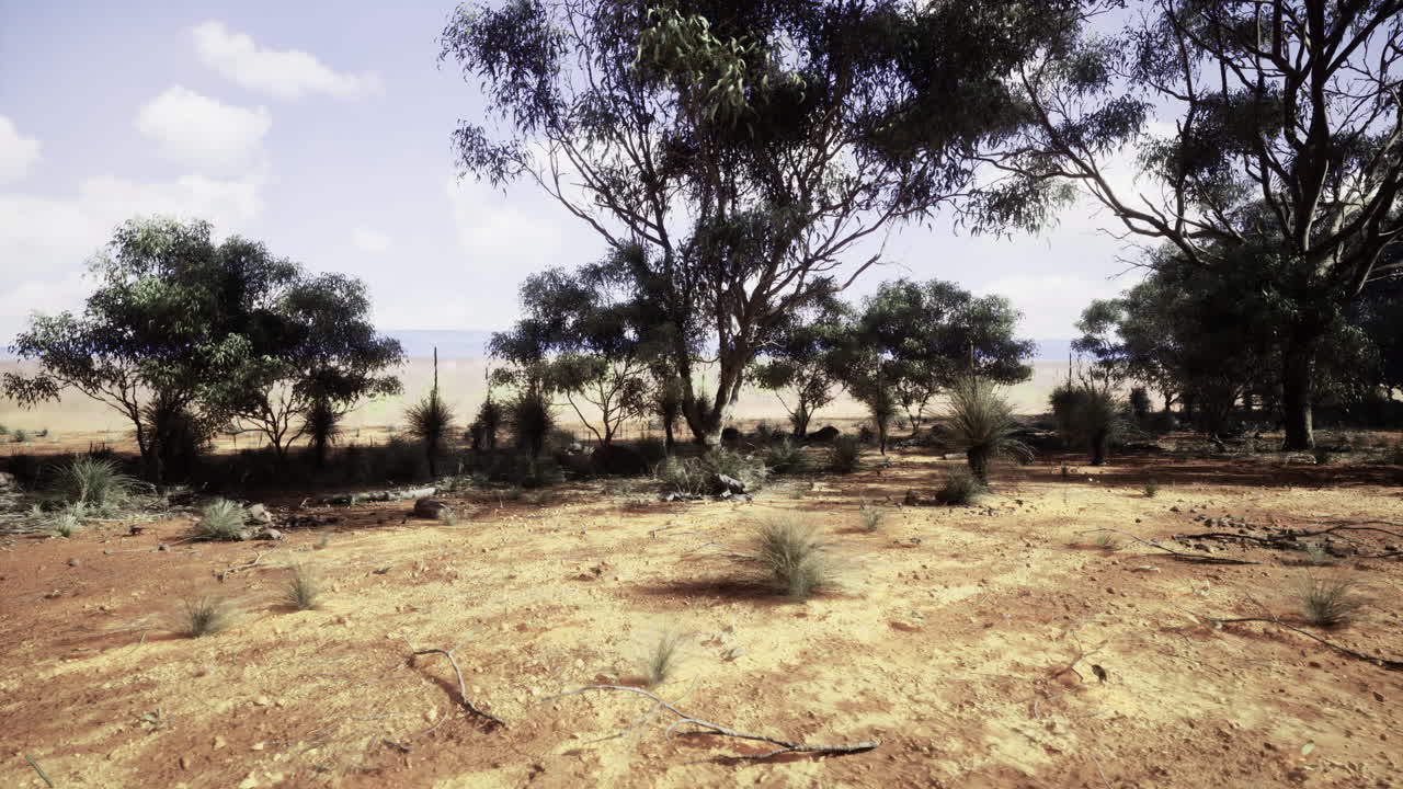 Desert landscape with sparse vegetation and scattered trees during daylight