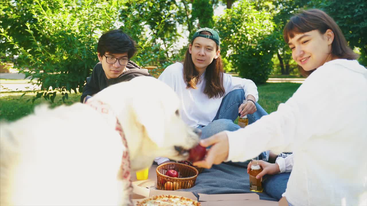 친구 들 이 개 와 함께 공원 에서 피크닉 을 즐기고 있다