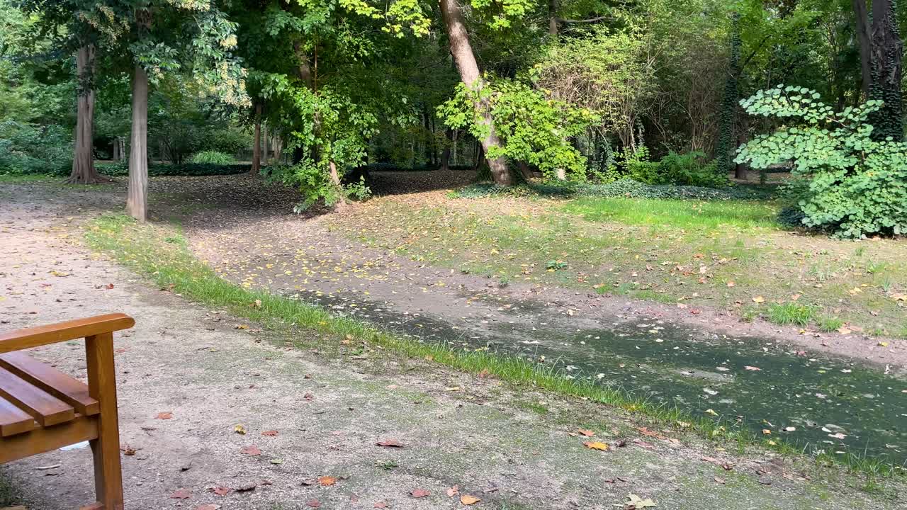 Filming in an area of ​​the Jardin del Principe park where we see a wooden bench in front of a small island full of tree vegetation, the watercourse has dried up leaving traces of humidity.