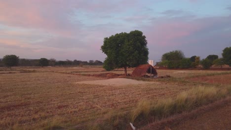 Schwenk-Drohnenaufnahme-Einer-Kleinen-Alten-Hütte-Auf-Einer-Abgeernteten-Weizenfarm-Während-Des-Sonnenuntergangs-Mit-Wunderschönen-Wolken-In-Nordindien