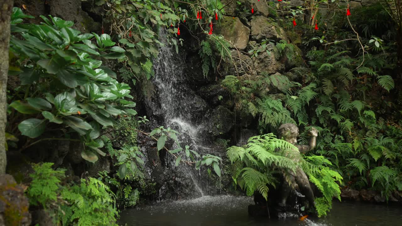 las imágenes fueron filmadas en madeira, portugal, en el jardín tropical de monte palace.