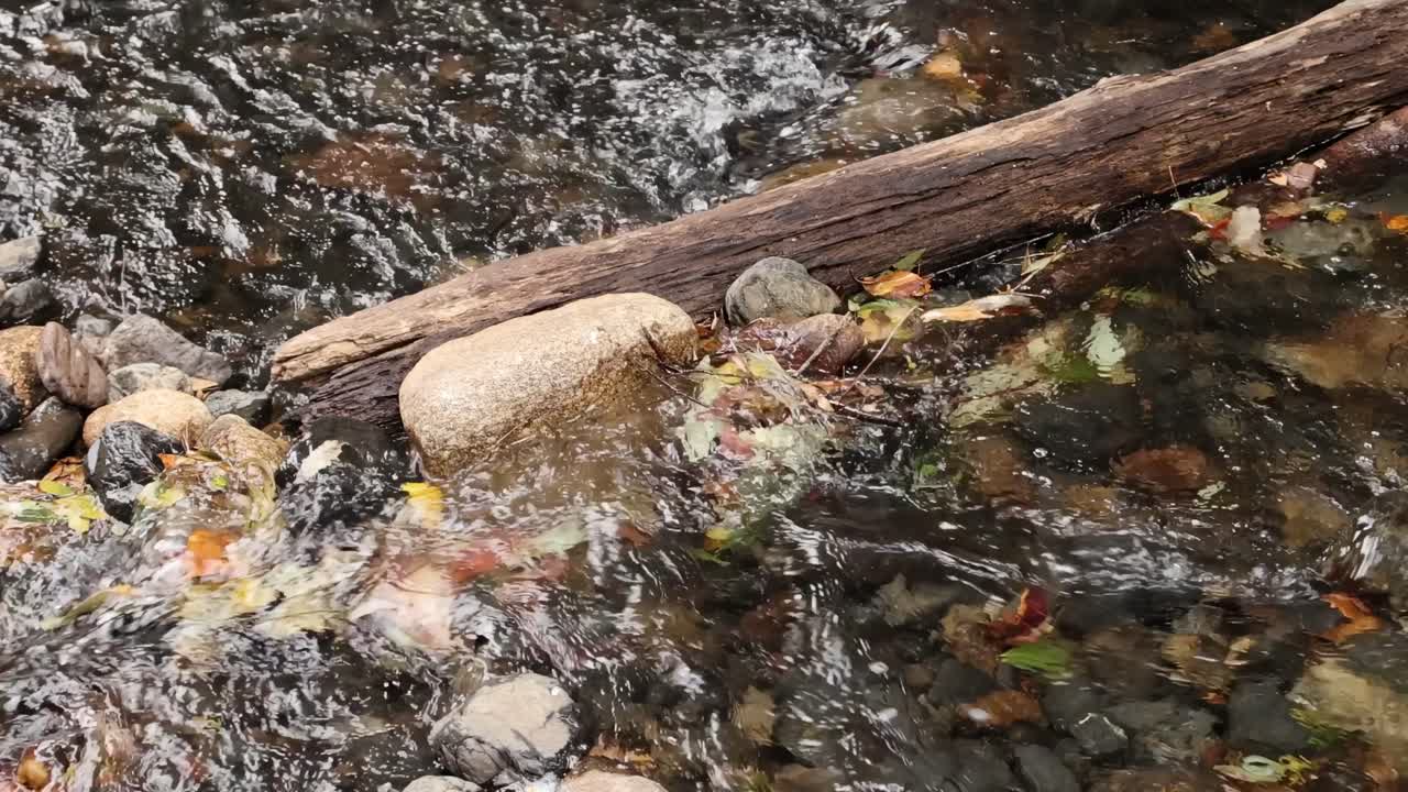 Clear water flows over colorful pebbles and a log, creating a serene natural scene.