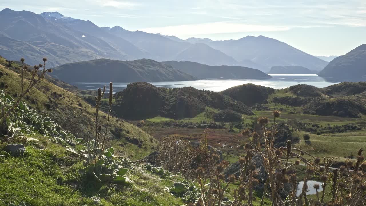 Summer Landscape Of Lake Wanaka And Roys Peak In New Zealand - Wide Shot