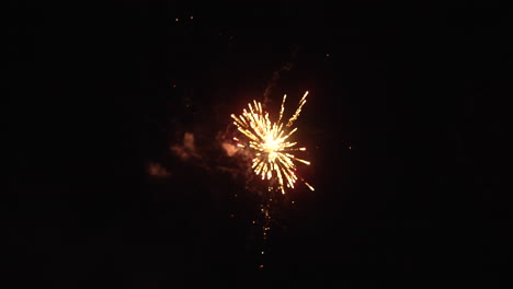 los fuegos artificiales de colores explotan y explotan en el cielo nocturno