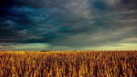 Cloudscape-Sombrío-Sobre-Campos-De-Trigo-Durante-La-Puesta-De-Sol.-Lapso-De-Tiempo