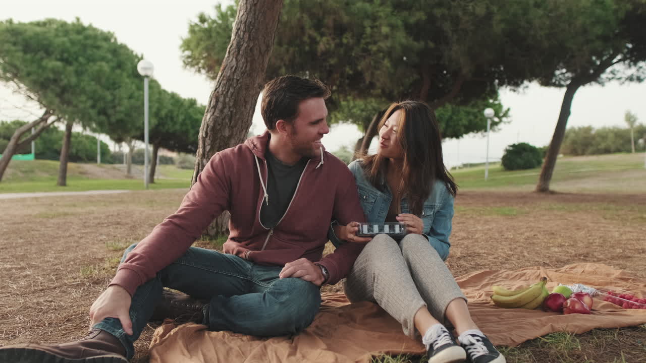 공원 에서 피크닉 을 즐기는 부부