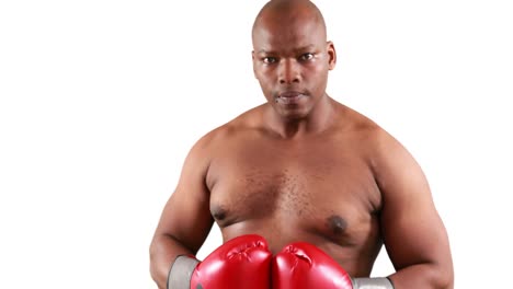 serious muscular boxer with gloves posing