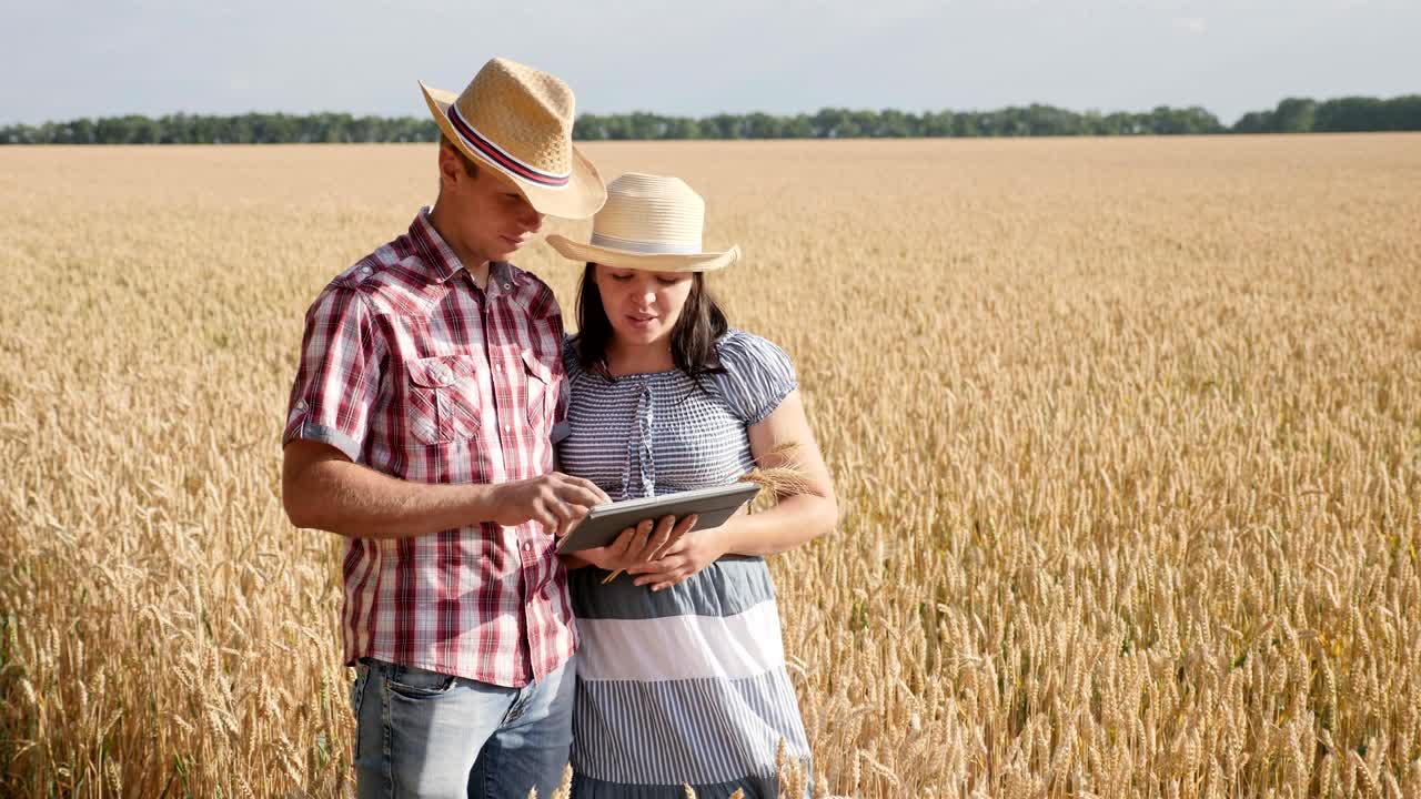 Farmer couple using digital tablet computer in ripe wheat field