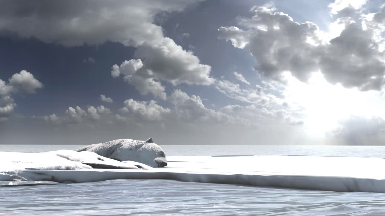 녹는 빙판 위 에 있는 북극