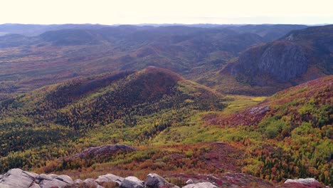 todos los árboles de hoja caduca cambian de color durante el otoño en canadá