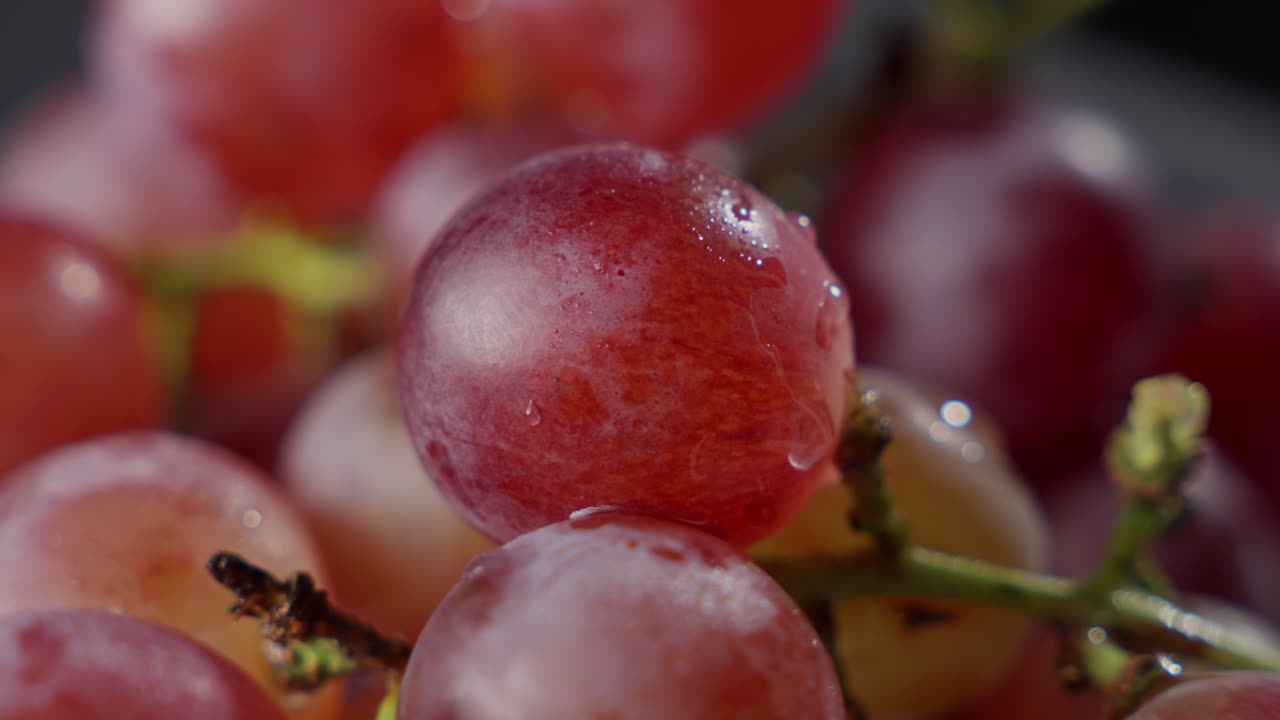 hermosas uvas rojas, gotas de agua que caen en la fruta dulce, jugosa y flexible de la vid