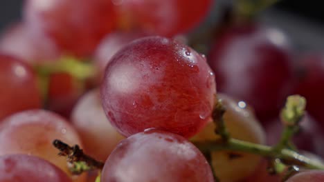 beautiful red grapes, water droplets falling on sweet, juicy, supple fruit on the vine