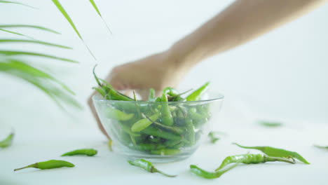 primer plano de chile verde recogido en un recipiente de vidrio por manos femeninas sobre fondo blanco