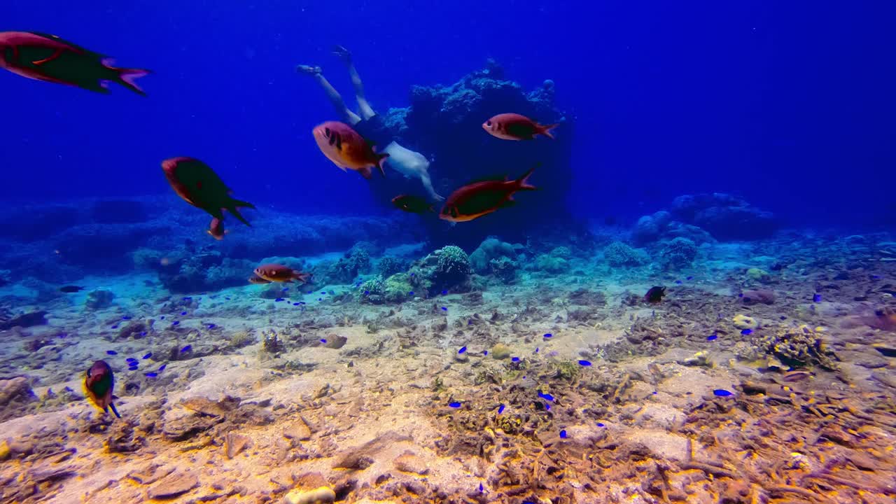 Buceador con snorkel profesional buceando cerca de peces únicos y coloridos en el mar de aguas azules, Bali, Indonesia