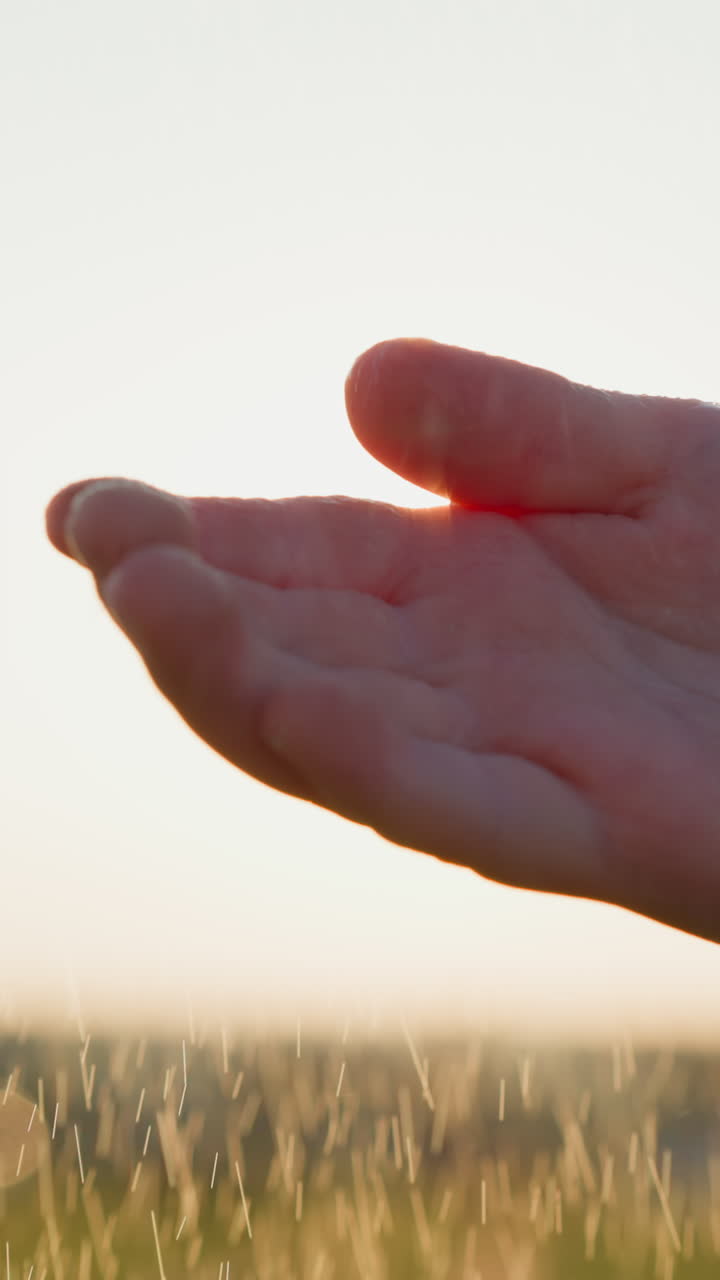 방울이 은 아이의 손에 떨어지며, 아이의 손가락은 자연의 통로가 되고, 자연을 아주며, 자연의 안음, 폭풍의 회색 하늘.