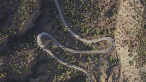 toma aérea de vista superior de árboles de bosque pacíficos y camino serpenteante