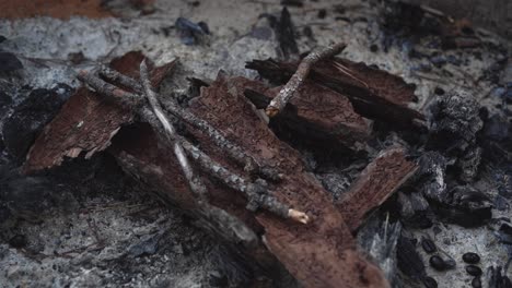 steady close-up shot of firewood being prepared in fire ring over ashes, with bark peels and wood sticks as they are arranged for use