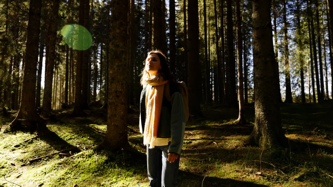 Woman Hiking in a Sunny Forest