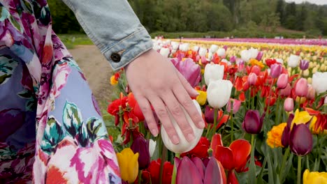 Chica-Con-Vestido-Floral-Caminando-Entre-Las-Hileras-De-Flores,-Toque-Suave-De-Los-Coloridos-Tulipanes