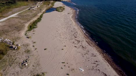 Epic-aerial-descend-over-big-flock-of-sea-birds-taking-off