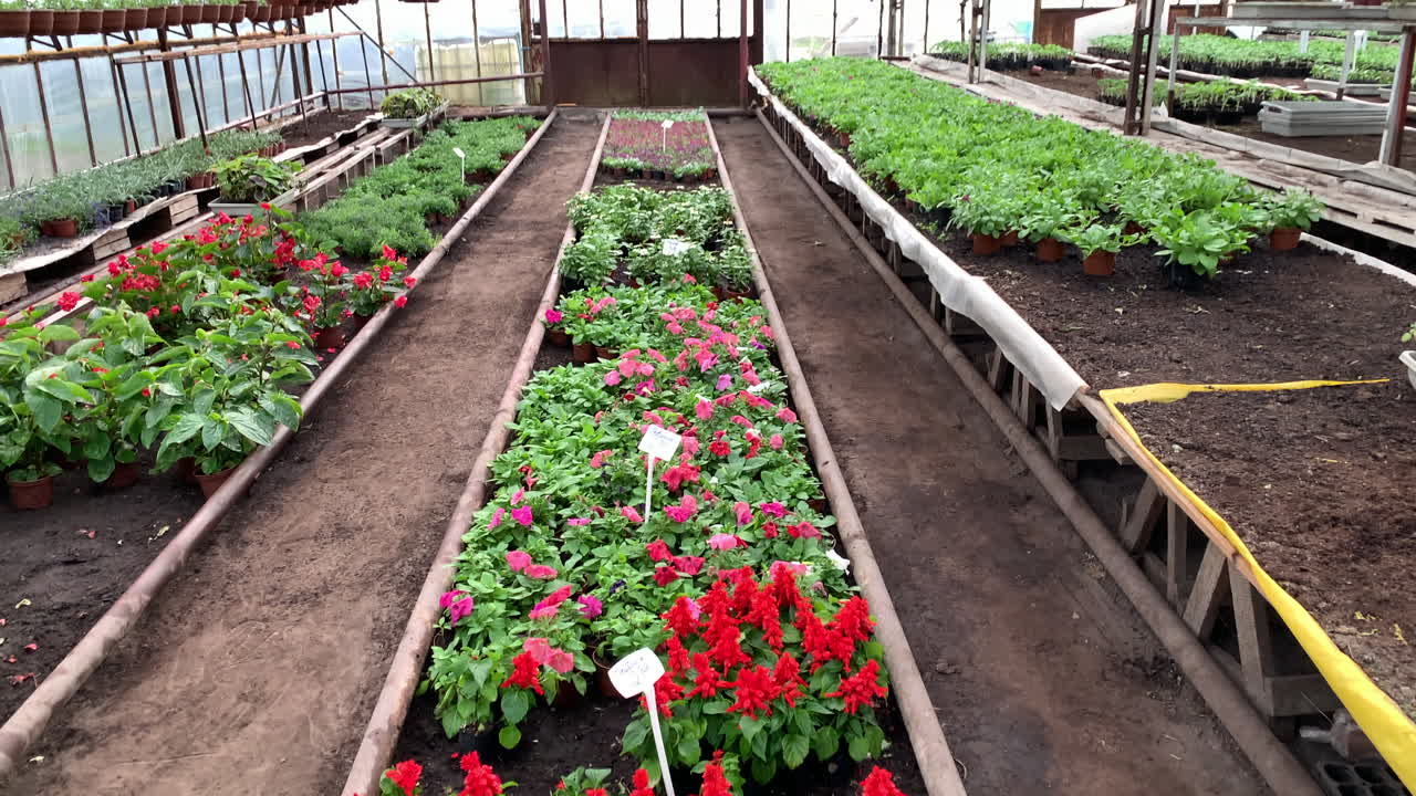 Industrial agriculture