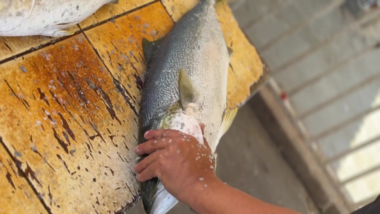 cleaning fish at the local fishing harbour