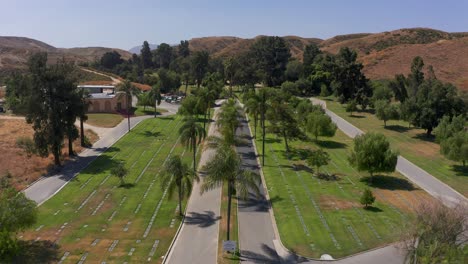 Low-aerial-shot-flying-over-palm-trees-that-line-the-main-road-of-a-mortuary-in-California