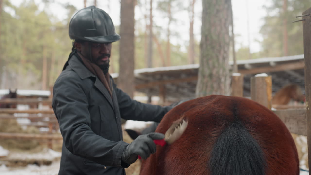 Caballo tranquilo al que están cepillando al aire libre; escena apacible de una persona acicalando a un caballo en un paisaje nevado; cuidado delicado del caballo en un entorno rural nevado con una interacción amable y equipo de seguridad