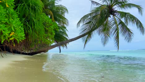 Statischer-Tiefwinkelschuss-Von-Türkisfarbenen-Meerwasserwellen,-Die-Am-Ufer-Eines-Tropischen-Strandes-Mit-Palmen-Brechen