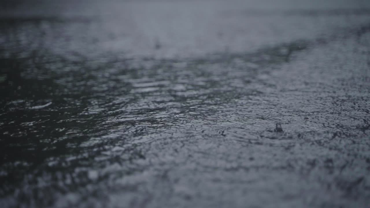 Due to the influence of the southwest monsoon, various parts of India experience heavy rainfall during the monsoon season