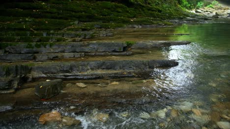 rocky stream in a forest