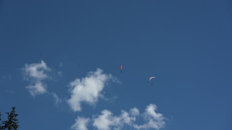 Two-parachutes-fly-over-a-fir-forest-in-the-swiss-alps,-blue-sky-with-a-few-clouds