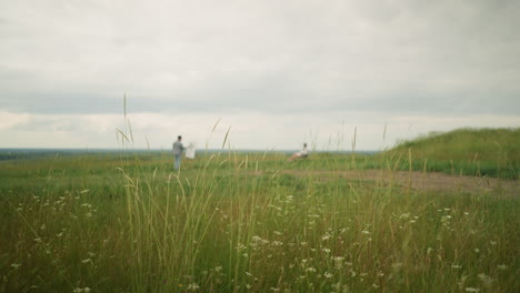 in a serene setting, a craftsman is seen painting on a board in the middle of a tall grass field. nearby, a woman sits comfortably on a chair, a moment of peaceful creativity in nature