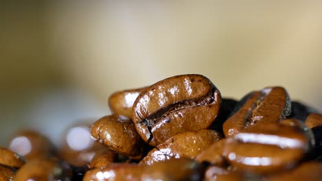 roasted coffee