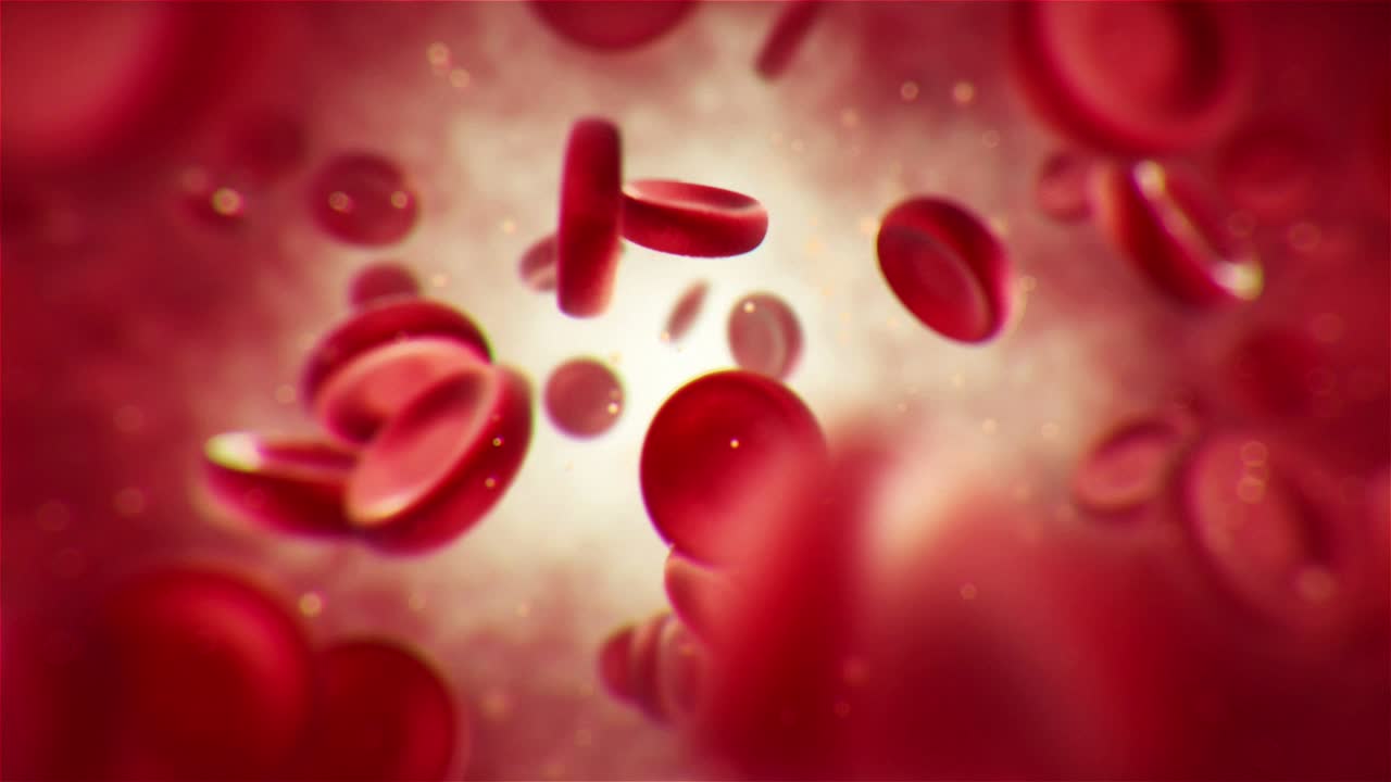Nice and clean 3D Micro Detailed Blood Flow Animation. Good for medical presentation and motion graphics.Video Features :14 SecHD1080p (1920×1080) QuickTime25 Fps