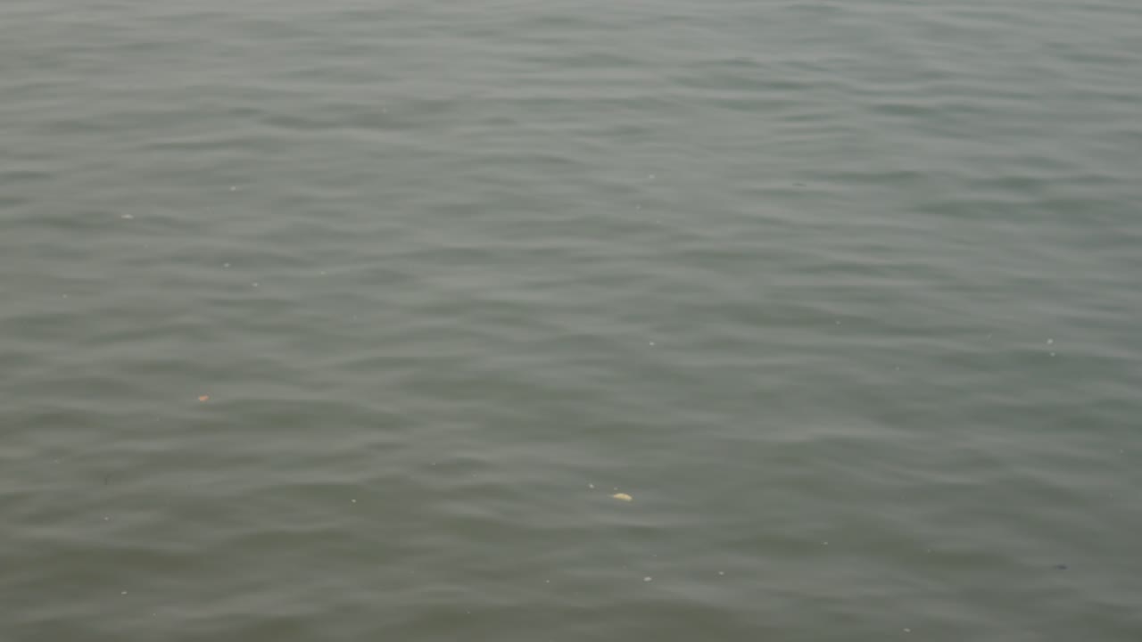 침착하고 방해받지 않는 물의 흐름을 보여주는 느린 동작으로 평화롭고 매혹적인 장면이 포착되어 매혹적인 시각적 경험을 창출합니다.