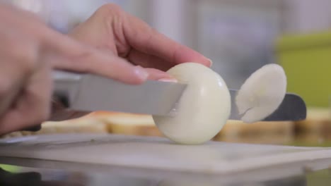 young woman slicing onions for sandwich to barbecue for lunch