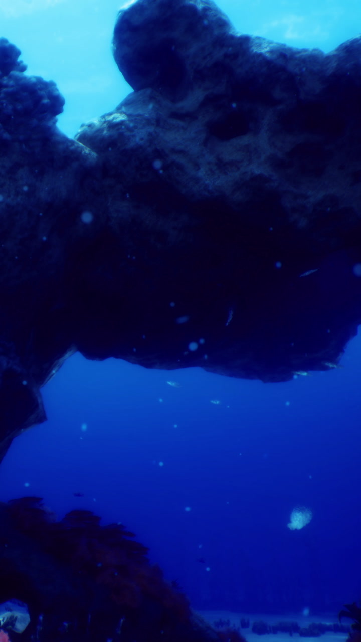 Underwater view of marine life and rock formations in clear ocean water
